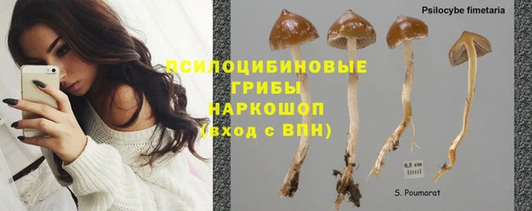 ALPHA PVP Абдулино