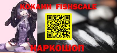 спиды Камышлов