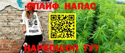 спиды Камышлов