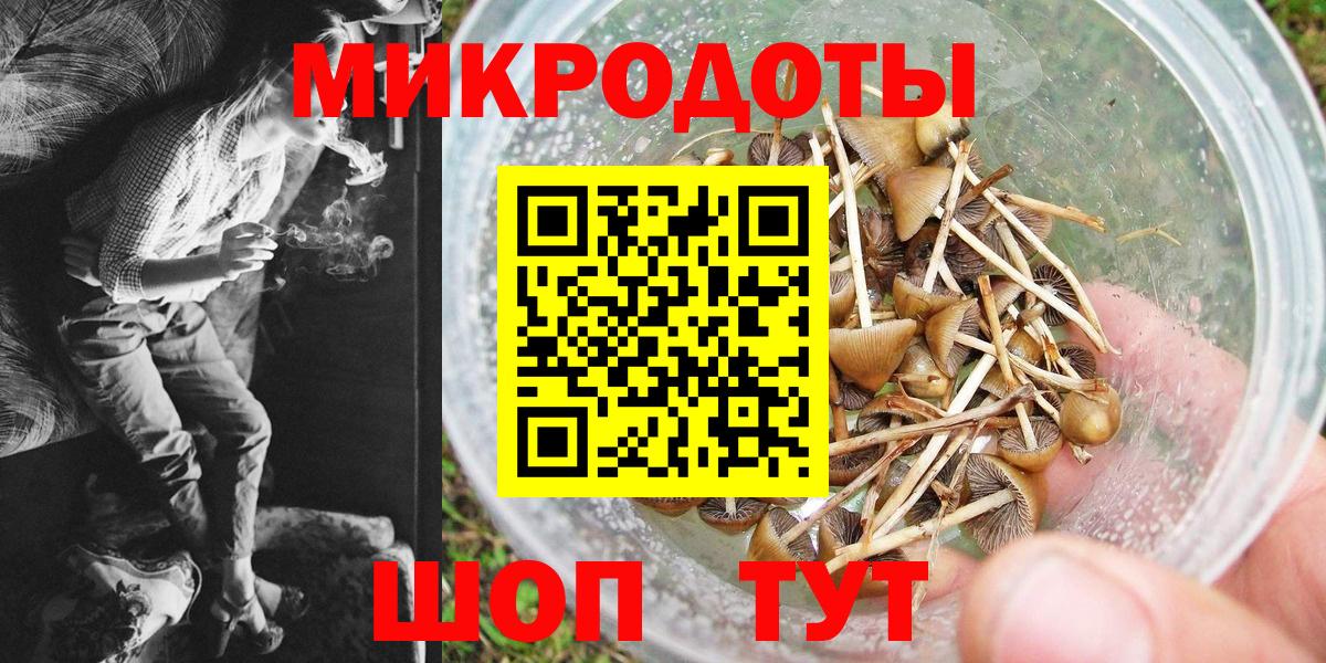 Псилоцибиновые грибы GOLDEN TEACHER  Вход с VPN  Нефтекумск  Галлюциногенные грибы мухоморы 