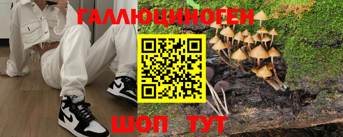 МЕФ кристаллы  Cocaine  Вход с VPN  ГАШ  Нефтекумск  Каннабис  ГАШ 