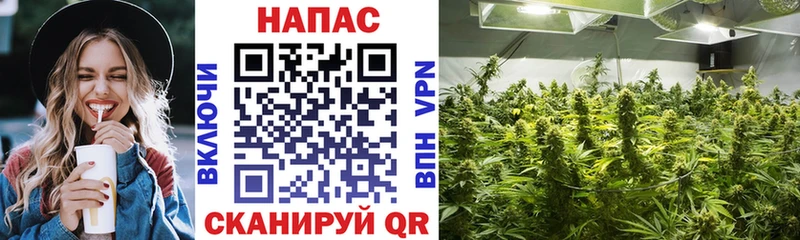 ОМГ ОМГ сайт  Нефтекумск  МАРИХУАНА THC 21%  сколько стоит 